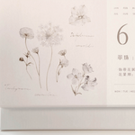Freckles Tea Dateless Calendar
