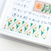 KITTA Clear - KITT018 Gift