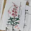 LCN PET Tape - Flower No.1