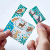 KITTA Special - KITP005 Collection