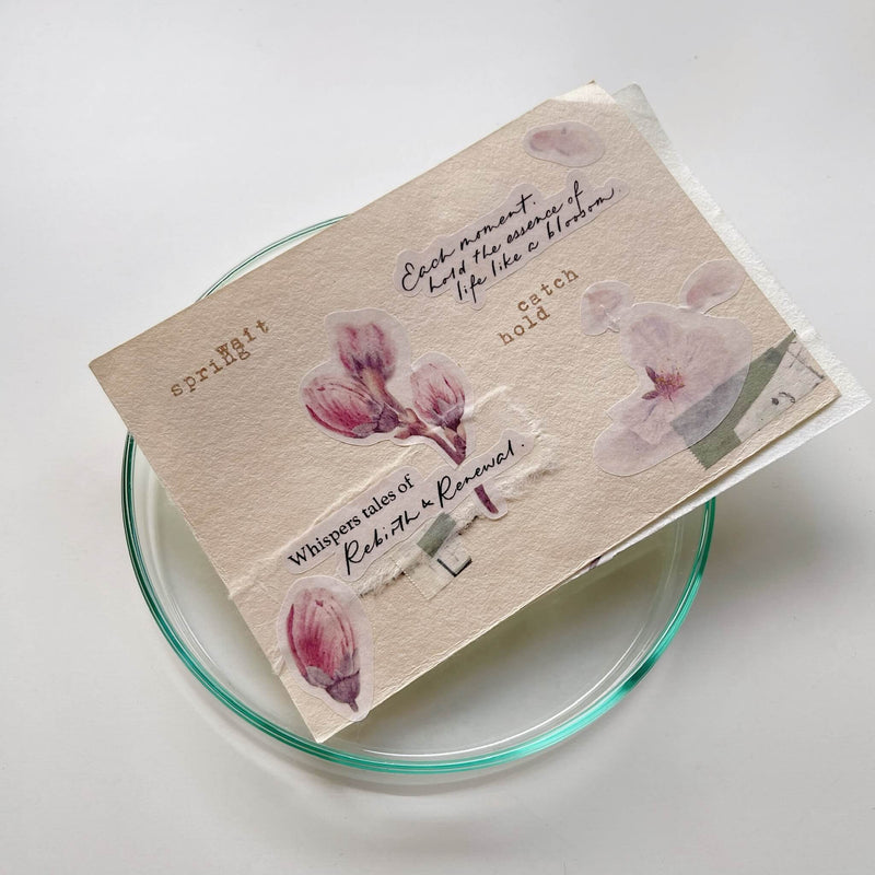 som x maru paper Sticker Sheet: Celebrate Every Phases of Flowers