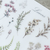 MU Print-On Sticker - Botanical Series IV