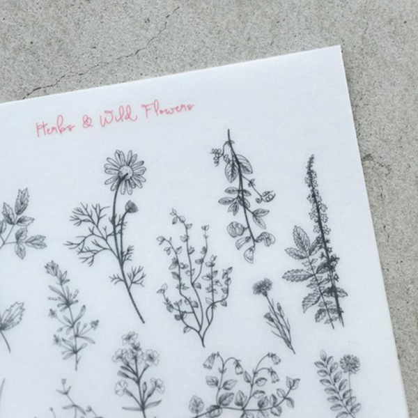 MU Print-On Sticker - Botanical Series IV