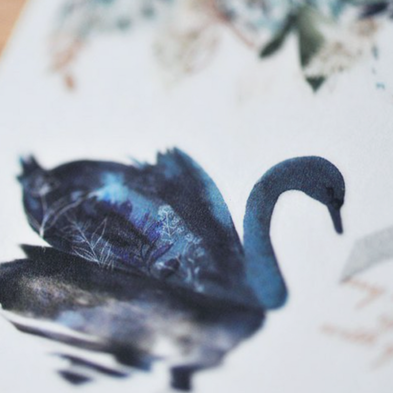 MU Print-On Sticker - Botanical Series II