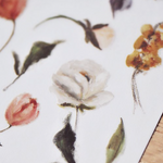 MU Print-On Sticker - Botanical Series II