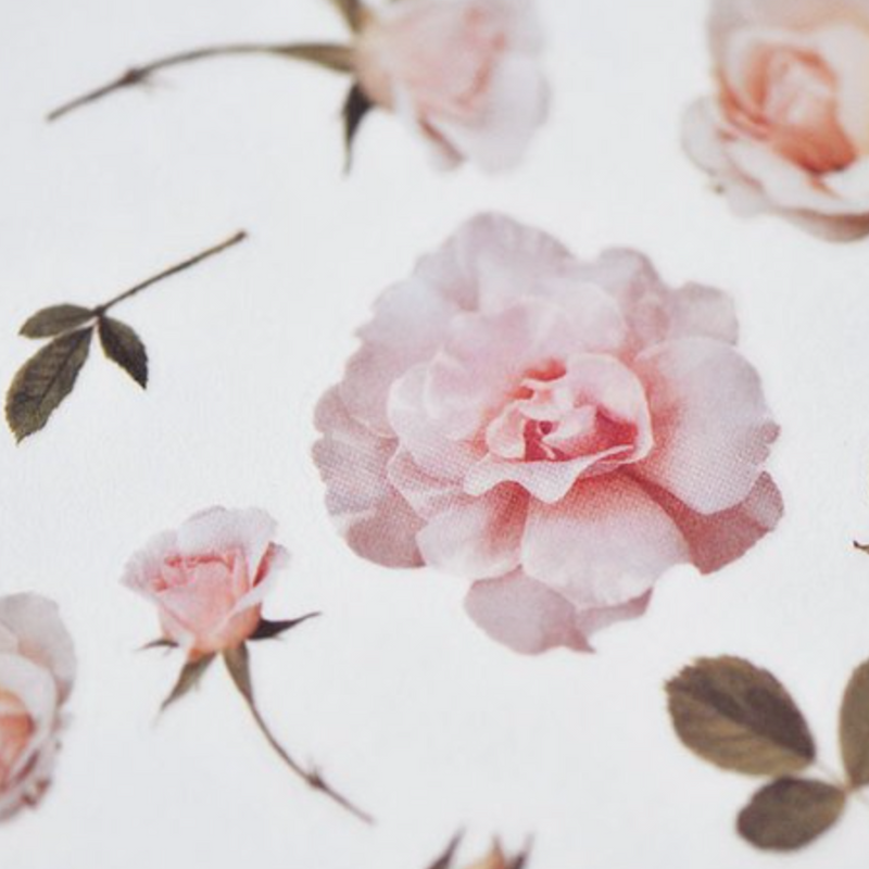 MU Print-On Sticker - Botanical Series II