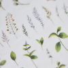 MU Print-On Sticker - Botanical Series II