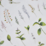 MU Print-On Sticker - Botanical Series II