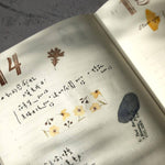 Pion: Die-Cut Washi Sticker Roll - section by section