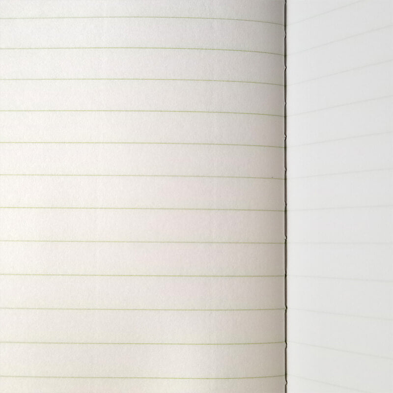 LIFE Pistachio Notebooks / Ruled