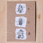 LCN Mineral Metal Stamps