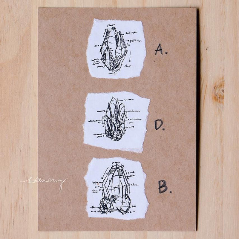LCN Mineral Metal Stamps