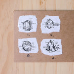 LCN Mineral Metal Stamps
