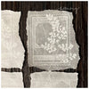 LCN Rubber Stamp Set - Fern Postage Stamp