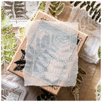 LCN Rubber Stamp Set - Fern Postage Stamp