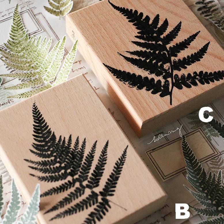 LCN Rubber Stamp Set - Fern Specimen