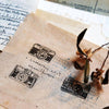 Chamil Garden Rubber Stamps Collection - My Favourite Camera
