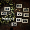 Chamil Garden Rubber Stamps Collection - My Favourite Camera