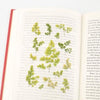 Press Flower Stickers Adiantum