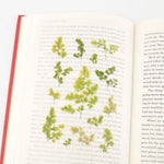 Press Flower Stickers Adiantum