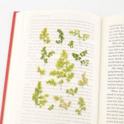 Press Flower Stickers Adiantum