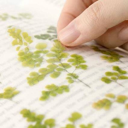 Press Flower Stickers Adiantum