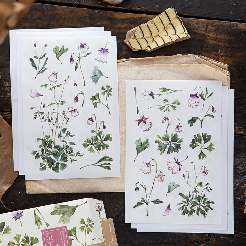OURS Sticker Pack - Aquilegias