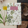 OURS Sticker Pack - Aquilegias