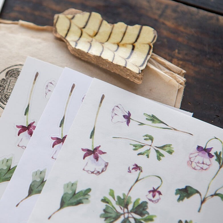 OURS Sticker Pack - Aquilegias