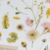 MU Print-On Sticker - Botanical Series VII