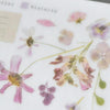 MU Print-On Sticker - Botanical Series VII