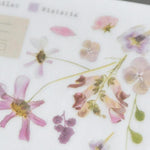MU Print-On Sticker - Botanical Series VII