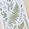 MU Print-On Sticker - Botanical Series IV
