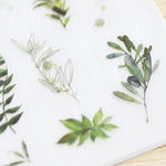 MU Print-On Sticker - Botanical Series VIII