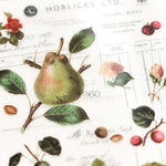 MU Print-On Sticker - Botanical Series X
