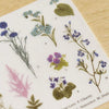 MU Print-On Sticker - Botanical Series X