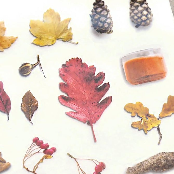 MU Print-On Sticker - Botanical Series X