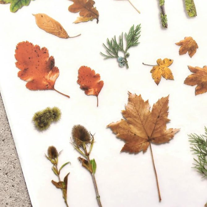 MU Print-On Sticker - Botanical Series X