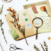 MU Print-On Sticker - Botanical Series XI