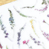 MU Print-On Sticker - Botanical Series XI