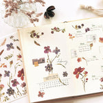 MU Print-On Sticker - Botanical Series XII