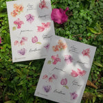 Bougainvillea Sticker