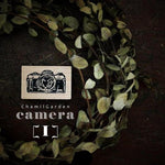 Chamil Garden Rubber Stamps Collection - My Favourite Camera