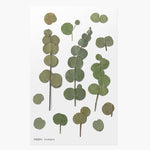 Press Flower Stickers Eucalyptus