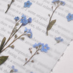 Press Flower Stickers Forget Me Not