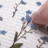 Press Flower Stickers Forget Me Not