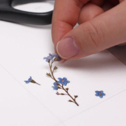 Press Flower Stickers Forget Me Not