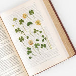 Press Flower Stickers Four Leaf Clover