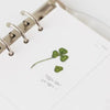 Press Flower Stickers Four Leaf Clover