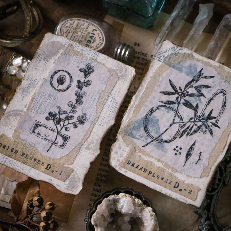 LCN Rubber Stamp Set - Dried Flowers